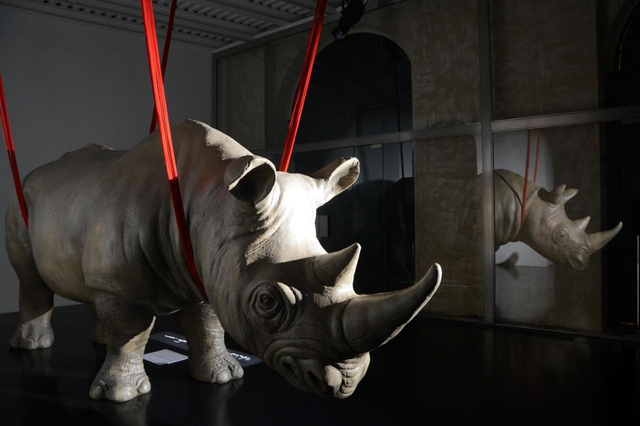 Rhinoceros Aparthotel Roma Exterior foto